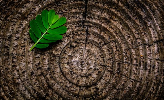 Kommentar zur CSU-Kolumne KiMi 22/18